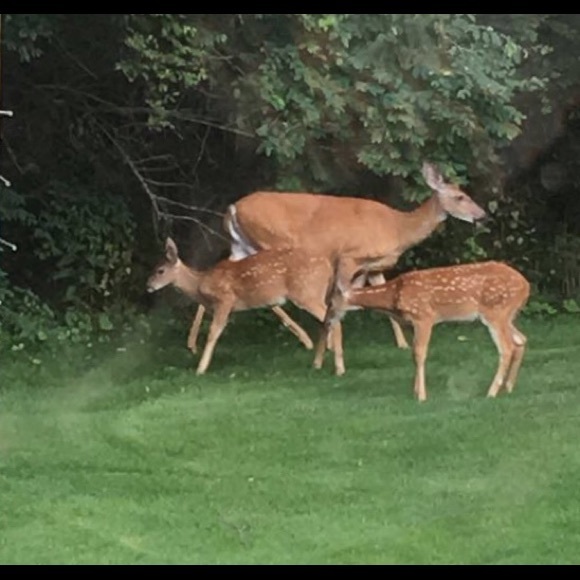 Meet your Posher, Paty - Picture 6 of 16